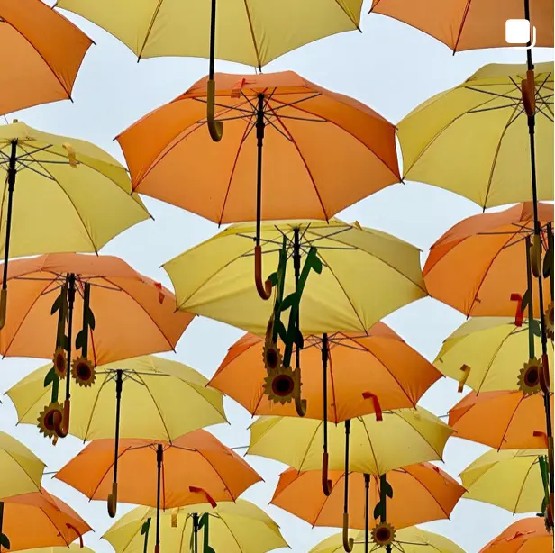 photo représentant des parapluies de couleur jaune et orange